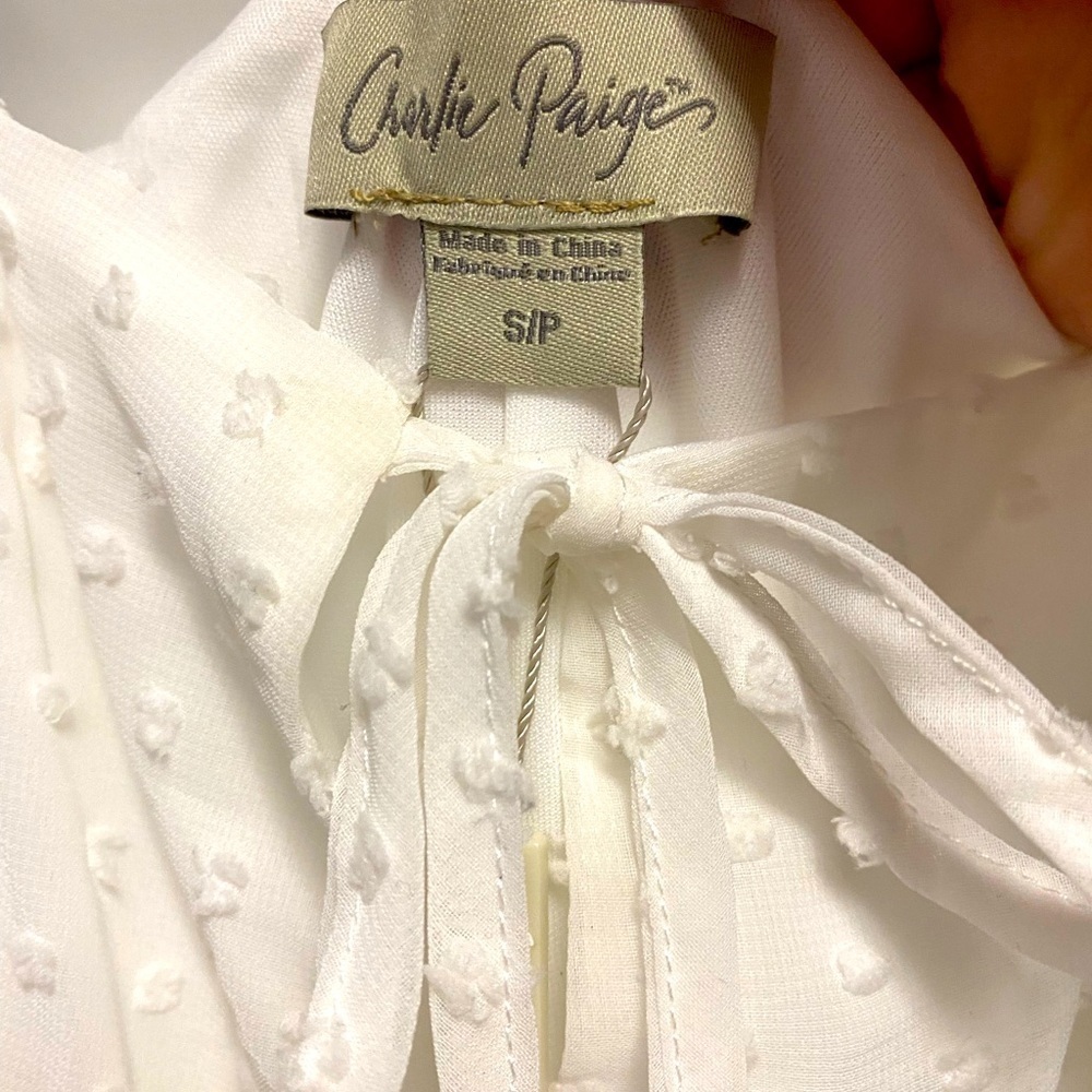 NWT Women’s White Swiss dot size S - Picture 8 of 13